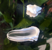 Load image into Gallery viewer, TheOnlyBundle - Dermatologist Tested Total Skincare System